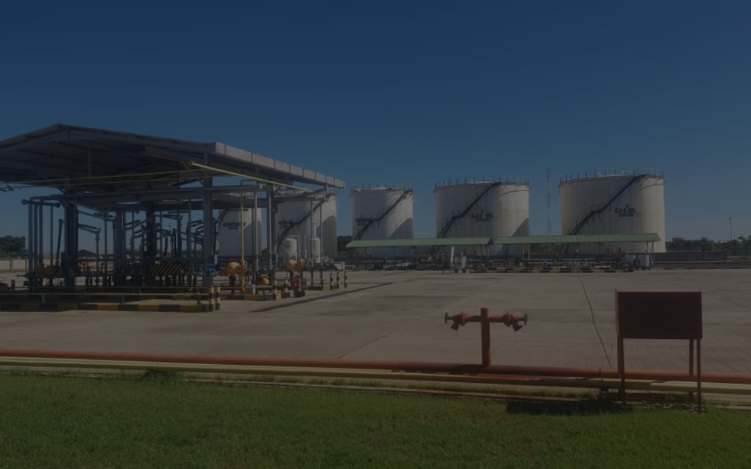 Environmental Responsibility: Tazama’s Green Initiatives